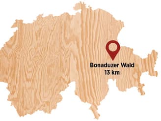 Bonaduzer-Wald.jpg