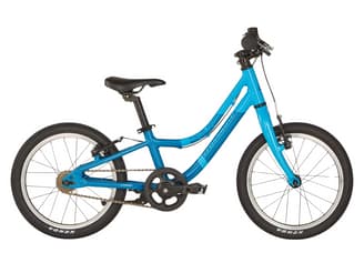 Blaues Prime Rider Bike
