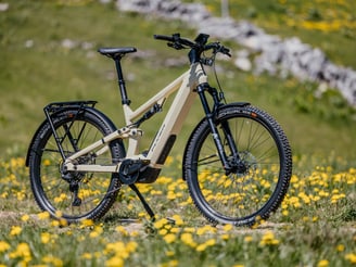 BW_E-Bike_GorocX_Detail.jpg