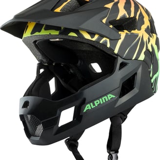 Alpina Helm